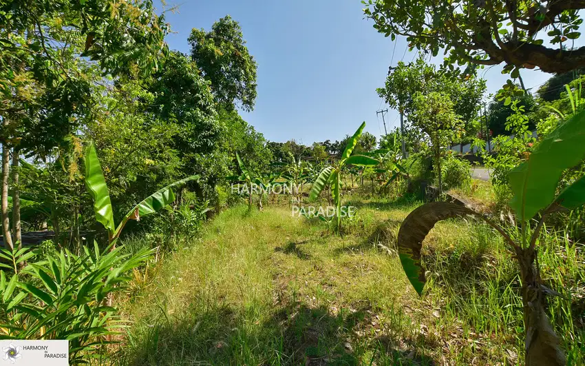 HP-NBL09 Tanah Tepi Sungai 3300m2,SHM, DI Kayuputih-Lovina