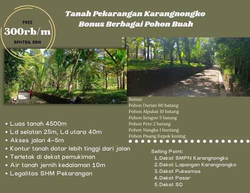 CARI INVESTASI? INI JAWABANNYA BELI TANAH BONUS BERBAGAI POHON BUAH