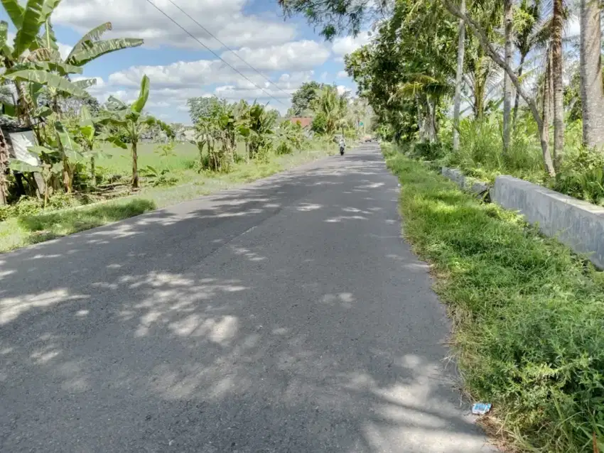 Disewakan tanah SHM pinggir raya di Demangan Wedomartani Ngemplak