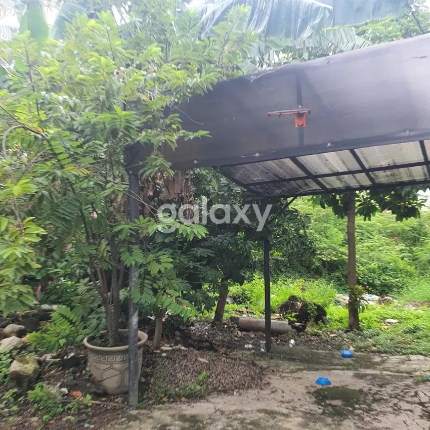 Tanah Kedurus Pilang Mukti