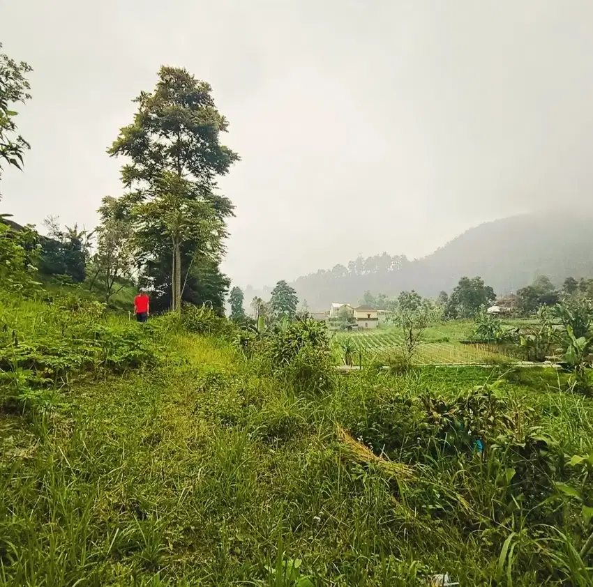 Tanah Pekarangan murah kemuning karanganyar view bagus
