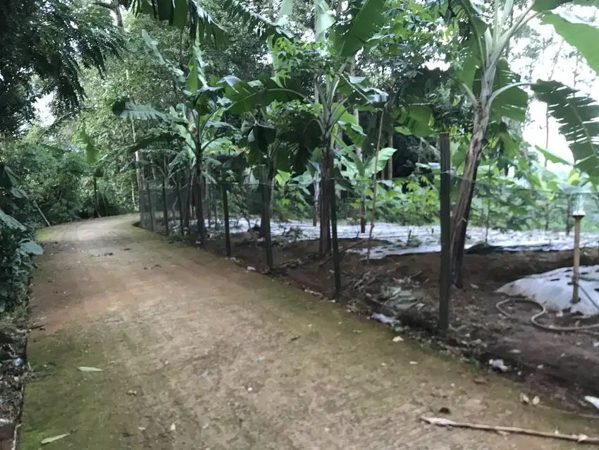 Di Jual Tanah Di Lingkungan Asri Udara Sejuk,Cocok Untuk Villa