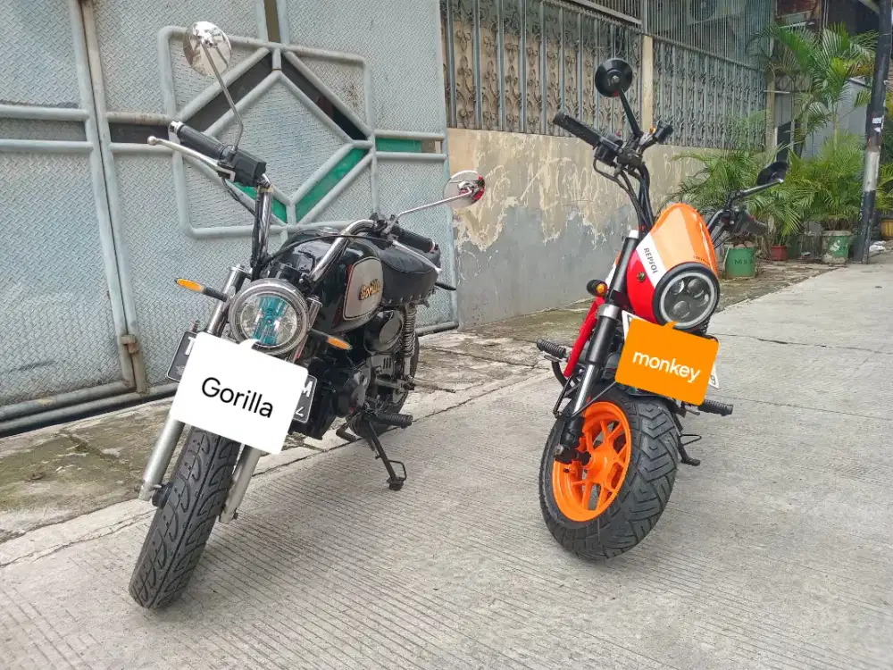 Jual Honda Monkey & Gorilla (borongan)