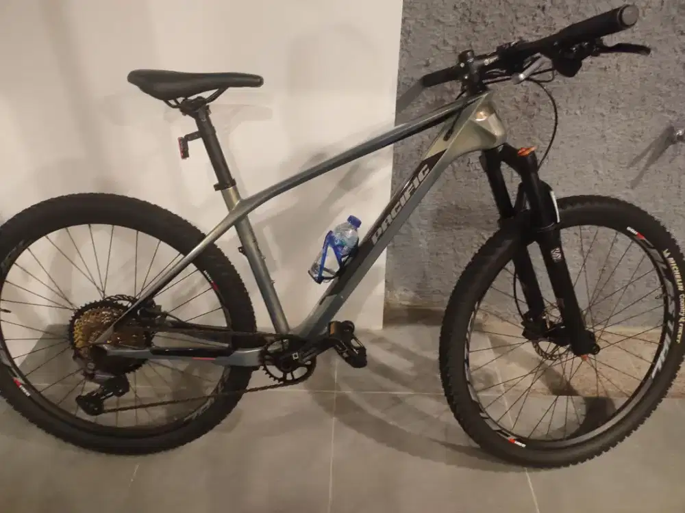 Sepeda pasific armour dx