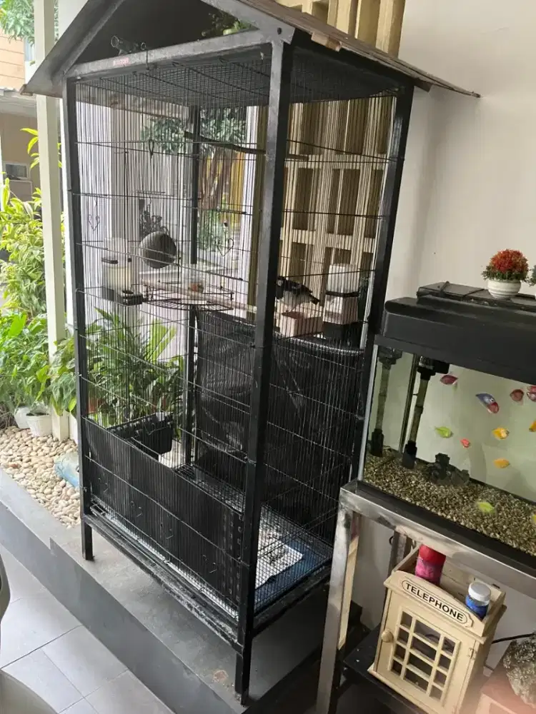 Di Jual burung dan kandang besar