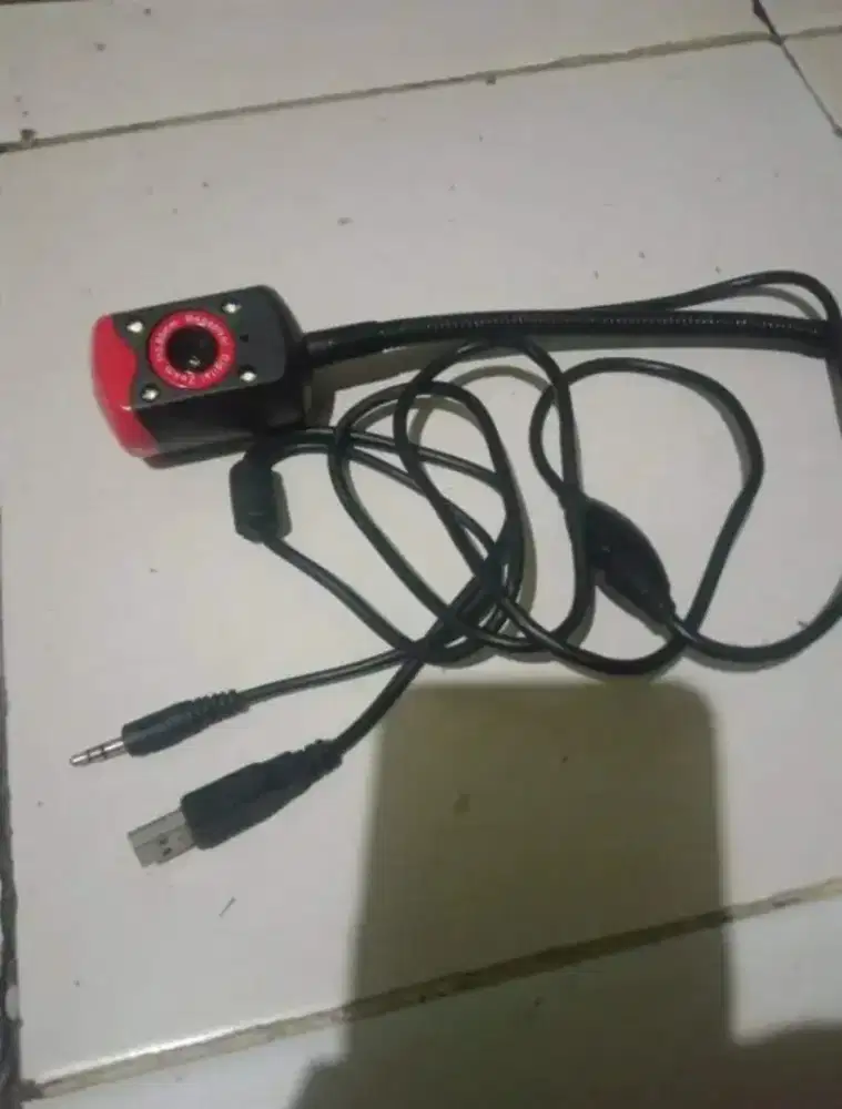 Camera chatting via laptop dsb