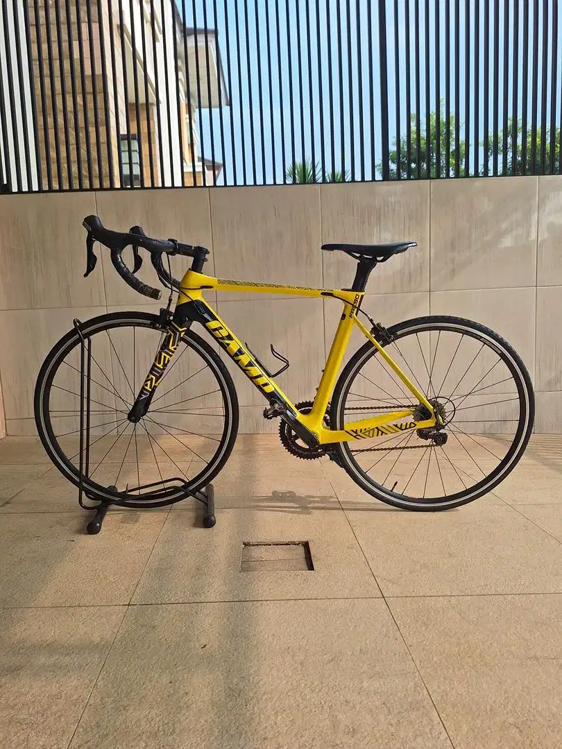 sepeda road bike carbon