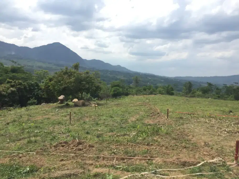 Tanah Pertanian Subur untuk Dijual!