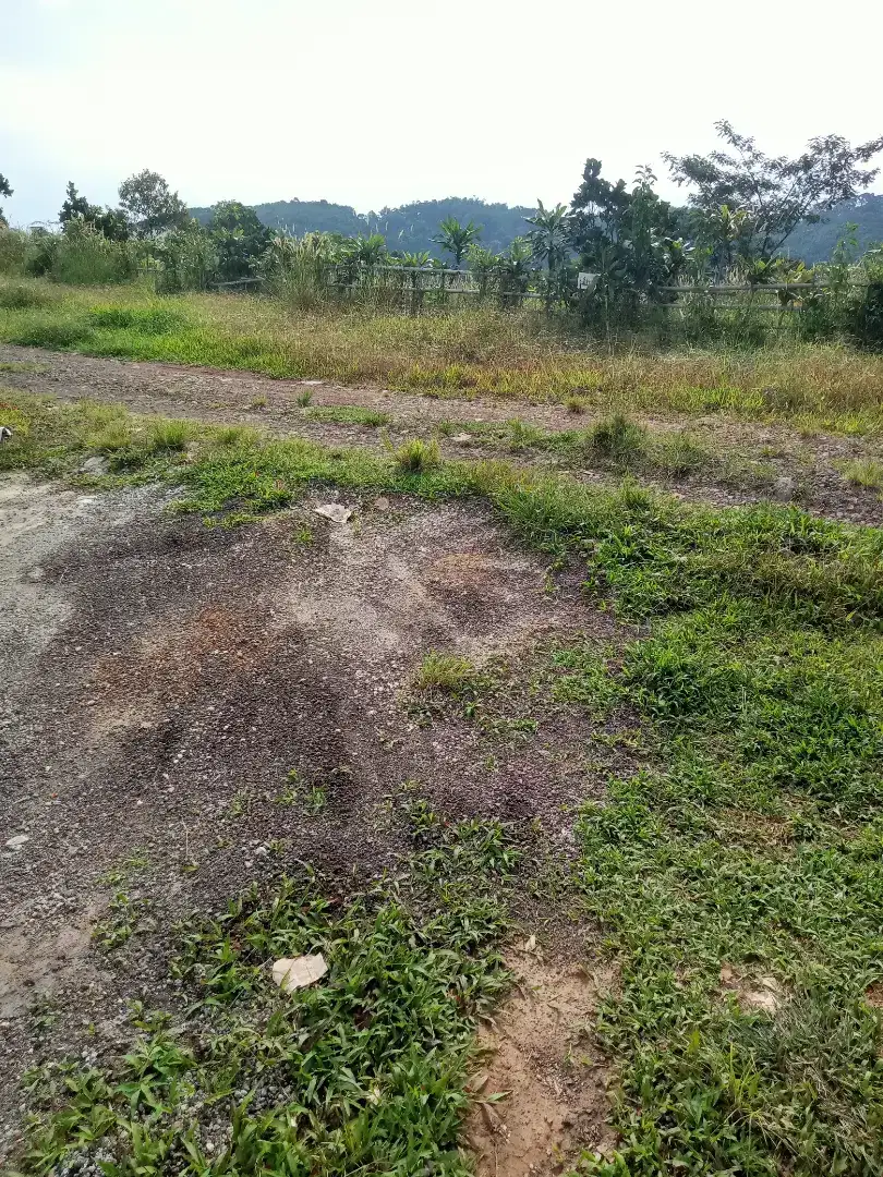 Sewa tanah pertanian bogor
