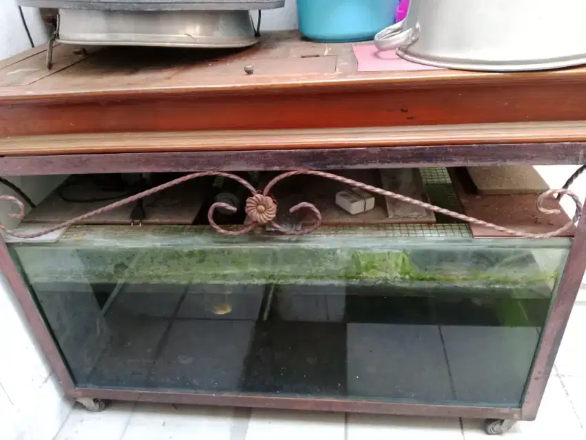 Dijual Akuarium + rak