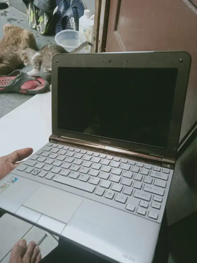 Netbook Toshiba minus