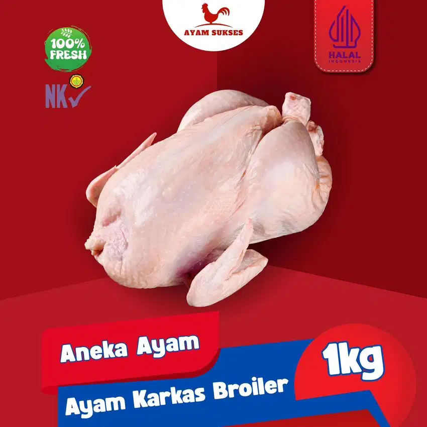 Ayam fresh/frozen