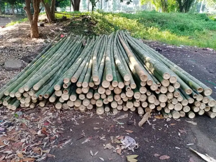 Jual bambu 8/9 dan triplek MC