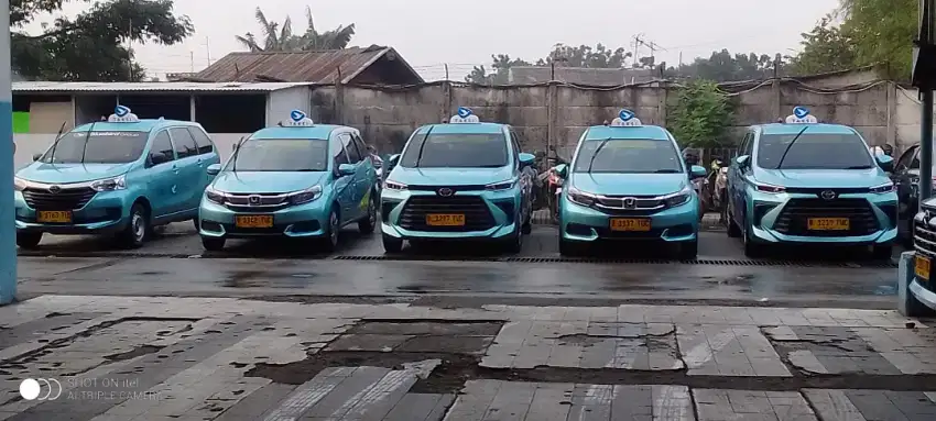 DRIVER taksi Bluebird online