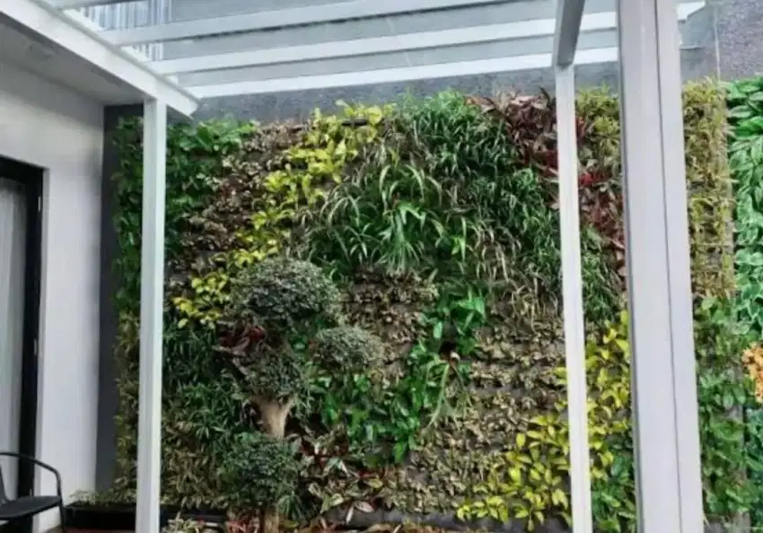 Tanaman Vertical Garden Dinding Hidup