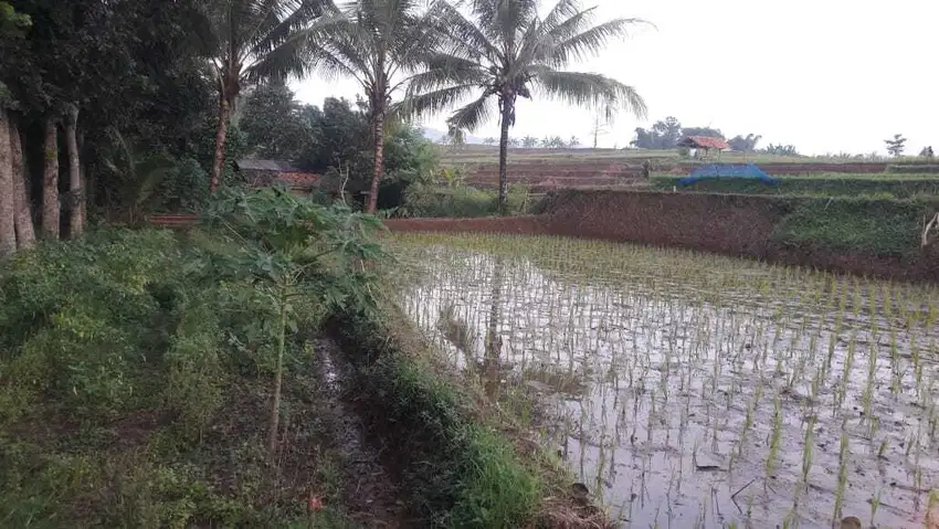 Di Jual Lahan Darat&Sawah , Cocok Untuk Villa