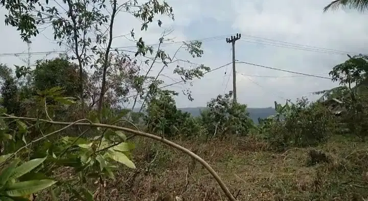 Di Jual Tanah Murah,Cocok Untuk Villa