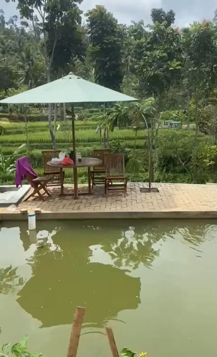 Villa margalaksana sumedang, view sawah, Alses mobil