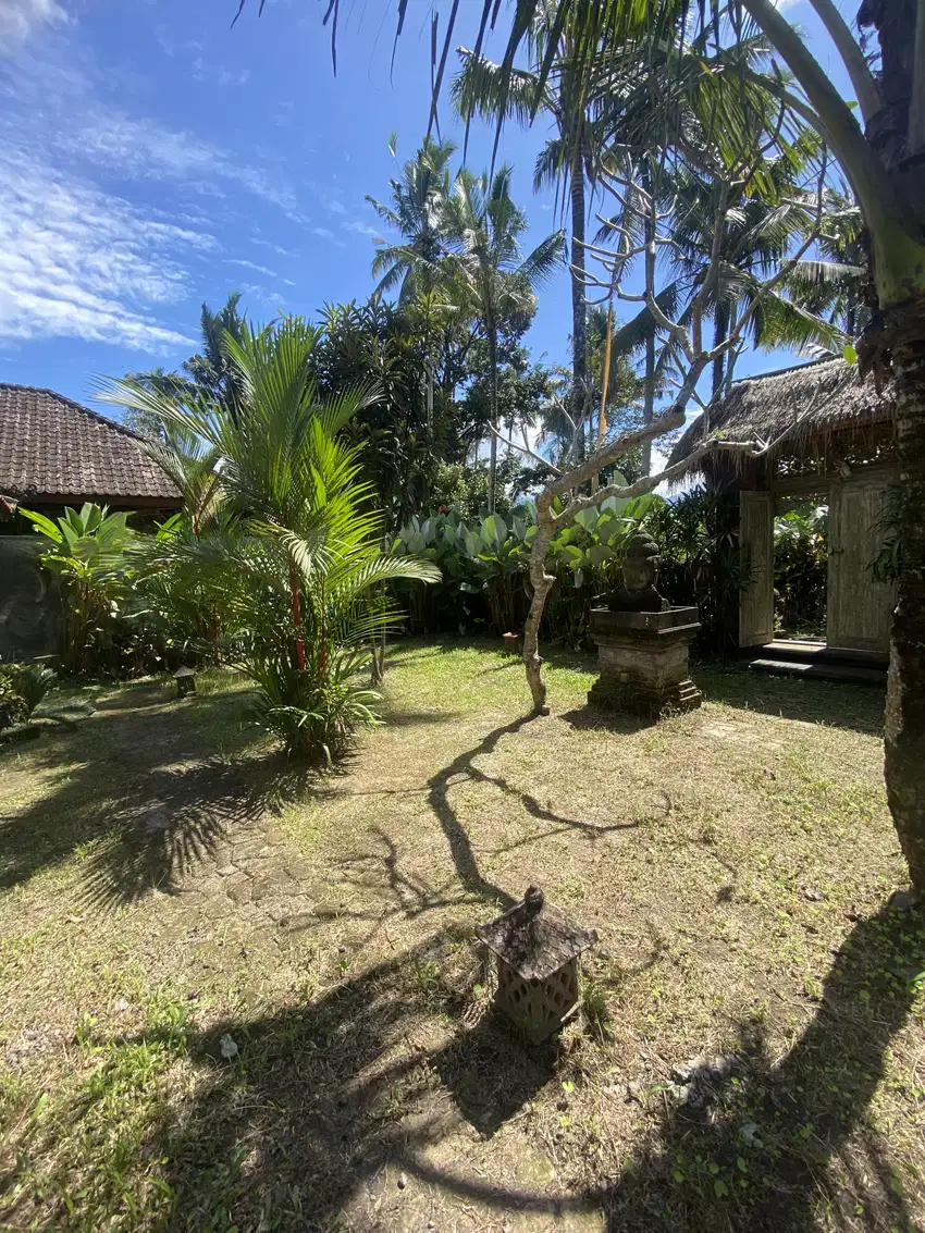 Jual villa penebel tabanan villa dekat jatiluwih