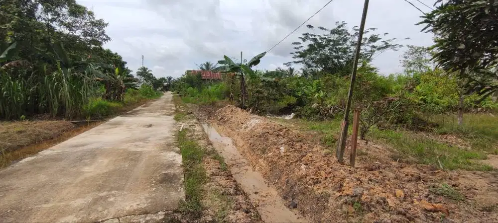 Dijual Tanah sawah-kebun dan kolam sdh ada rmh Lt2 - listik dan air
