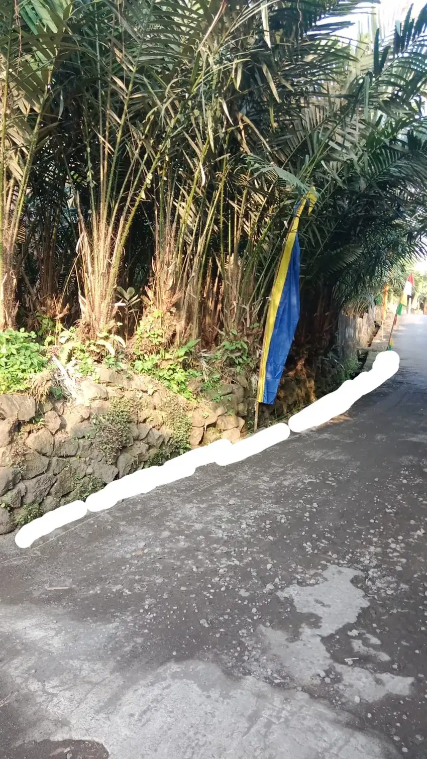 Dijual Cepat Tanah Luas  Kebon Salak  di wonokerto turi