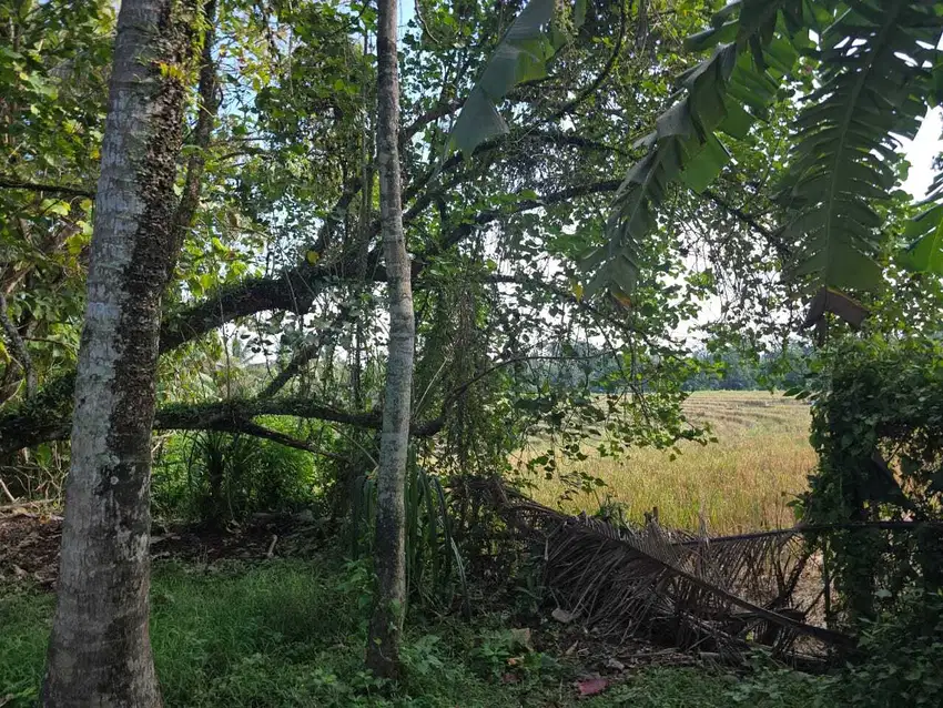 Dijual tanah datar view laut dan sawah terasering di tabanan bali