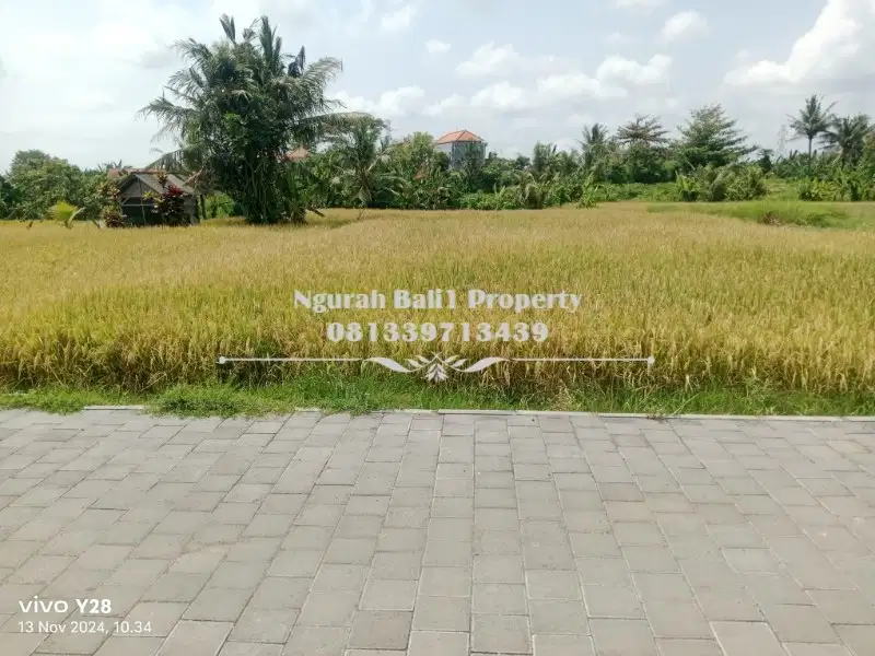 Disewakan Tanah Luas 500 m2 View Sawah Gunung Lingkungan Villa