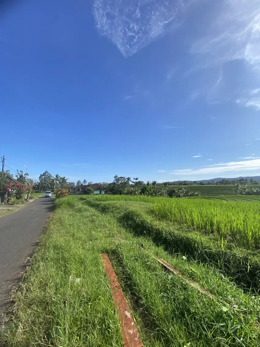 Jual tanah dekat pantai soka selemadeg tabanan