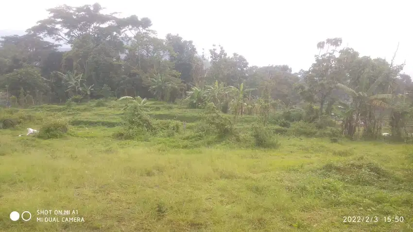 Tanah Vila Istimewa