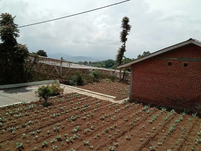 tanah datar pinggir jalan view bagus