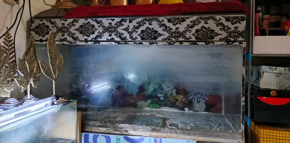 Aquarium 100x40