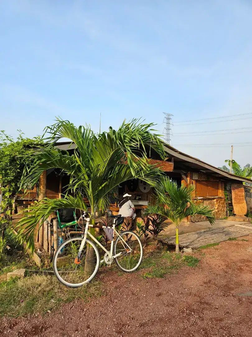 Sepeda lipat fixie single speed