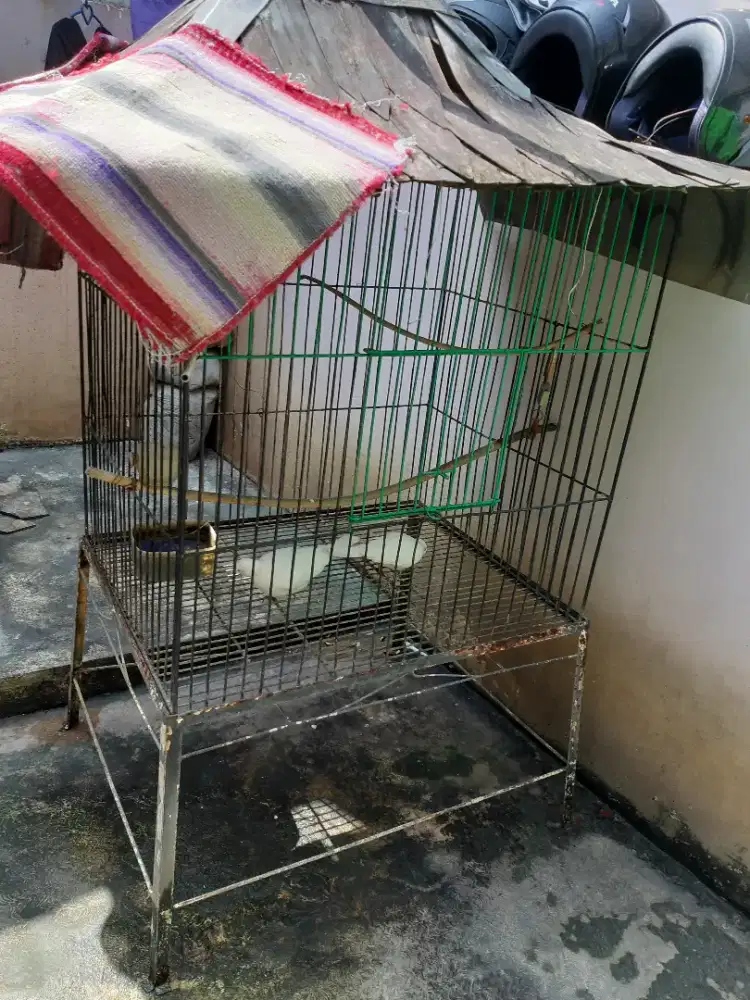 KANDANG BESI UKURAN BESAR + SEPASANG BURUNG PUTER