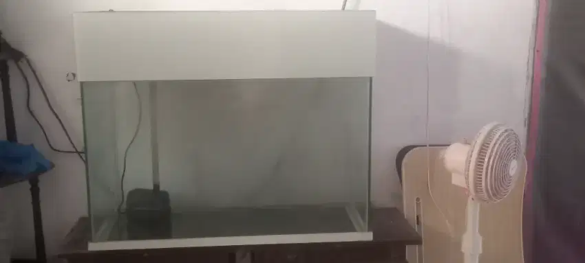 Aquarium Ikan Besar