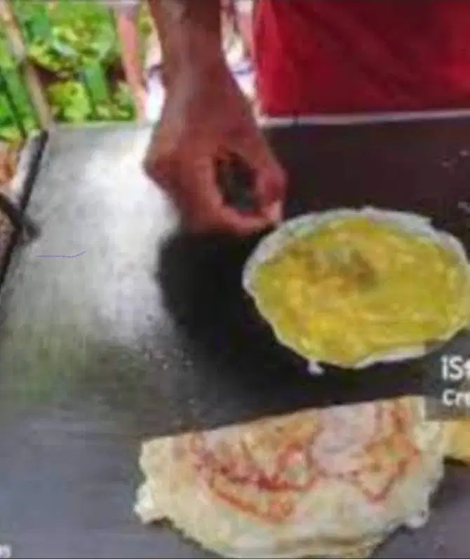 Pembuat Martabak Telor Lumpia
