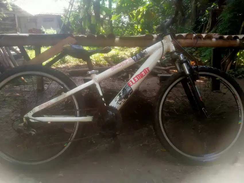 Sepeda gunung 24