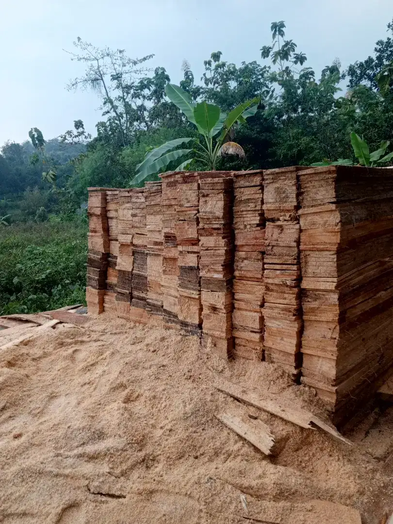 Papan randu bisa custom juga