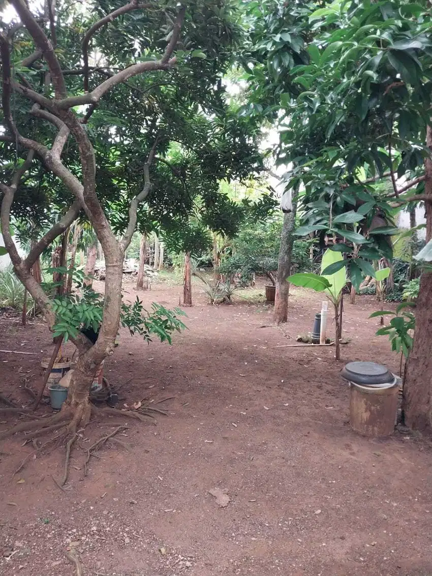Dijual Tanah Kavling 350.0 M² Shm Bintaro Sektor 5 Super Strategis