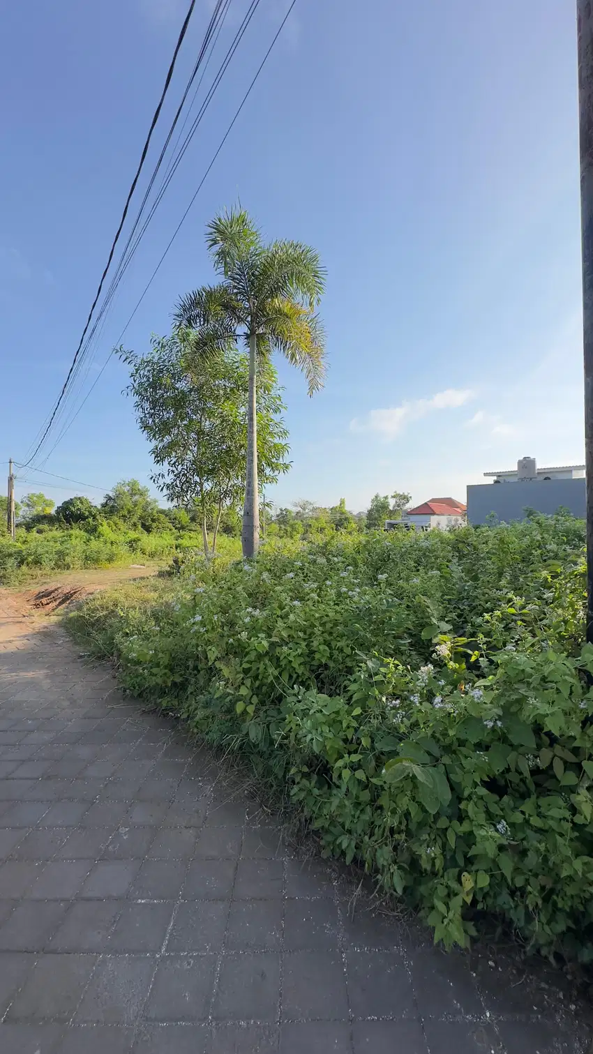 Dijual Tanah 226m2 di Dekat Pantai Melasti Bali