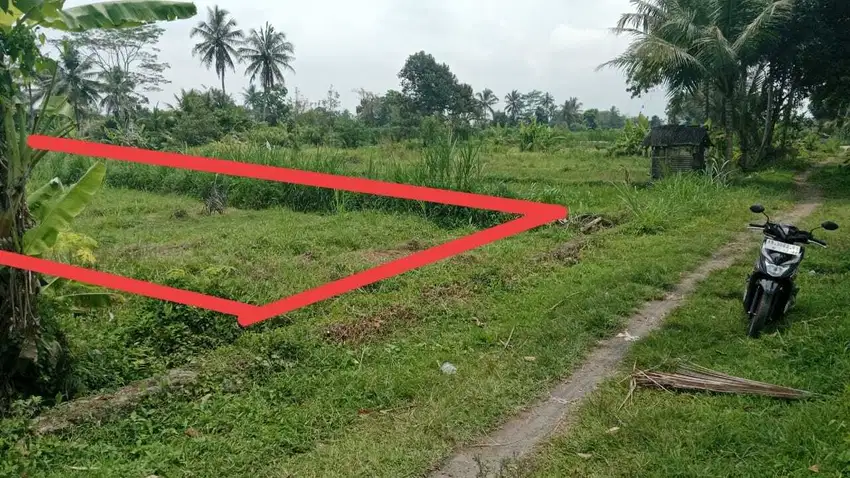turun harga jual tanah luas 597m2 dibarat jl palagan km 15 view sawah