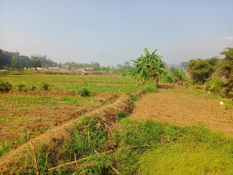 Tanah kebun pinggir sungai masuk mobil SHM