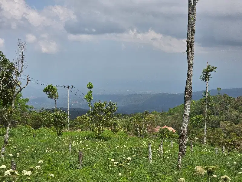 DIJUAL TANAH MURAH DATAR VIEW LEMBAH DAN LAUT DI BALI