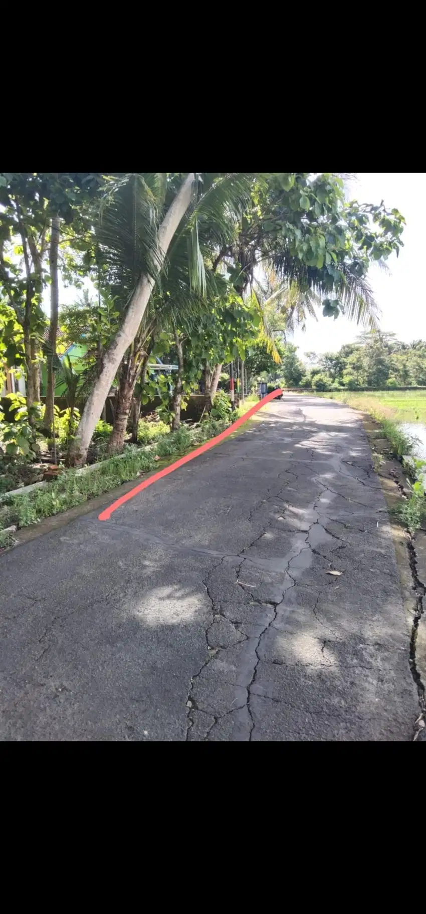 JUAL TANAH DI TEMON KULONPROGO VIEW SAWAH