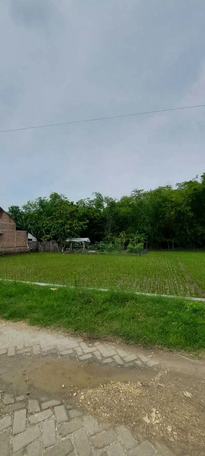 Tanah Kelurahan Cangakan Kecamatan Kanor Kabupaten Bojonegoro