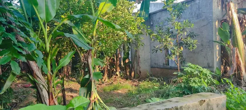 Tanah Kavling di Perumahan Graha Harapan