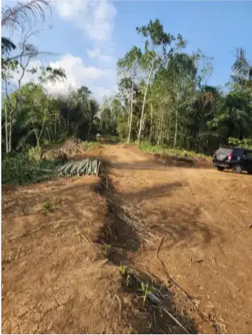 Tanah kavling kebun durian penebel Tabanan