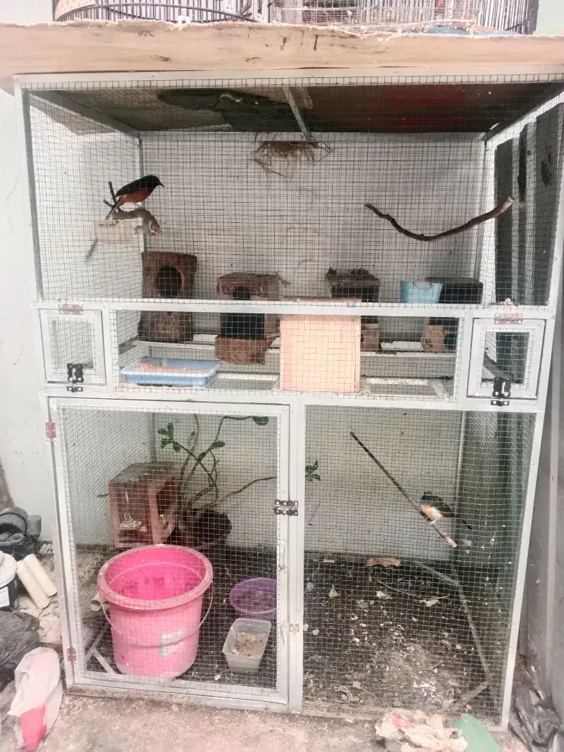 Kandang aviary P 1.2 x L 0.8 x T 1,8