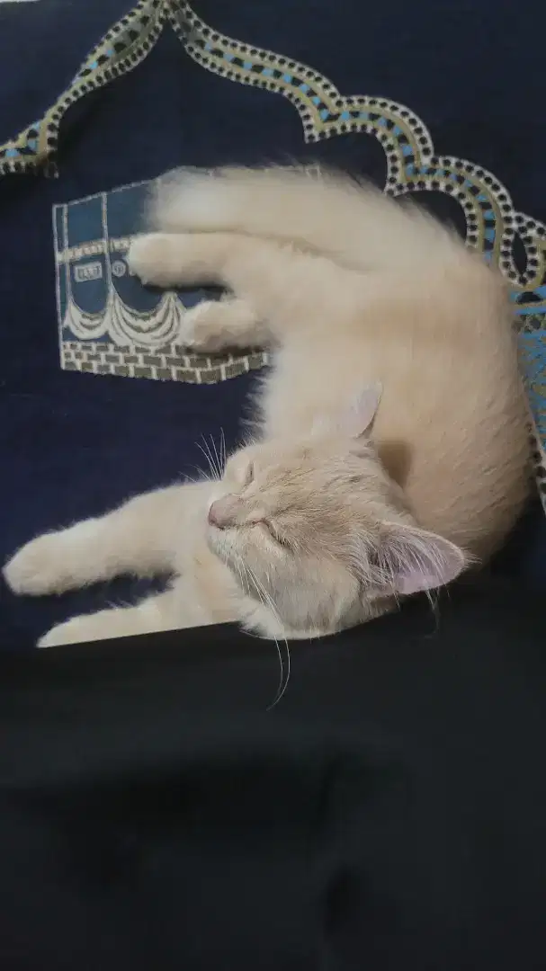 ART dan jaga anak Menginap