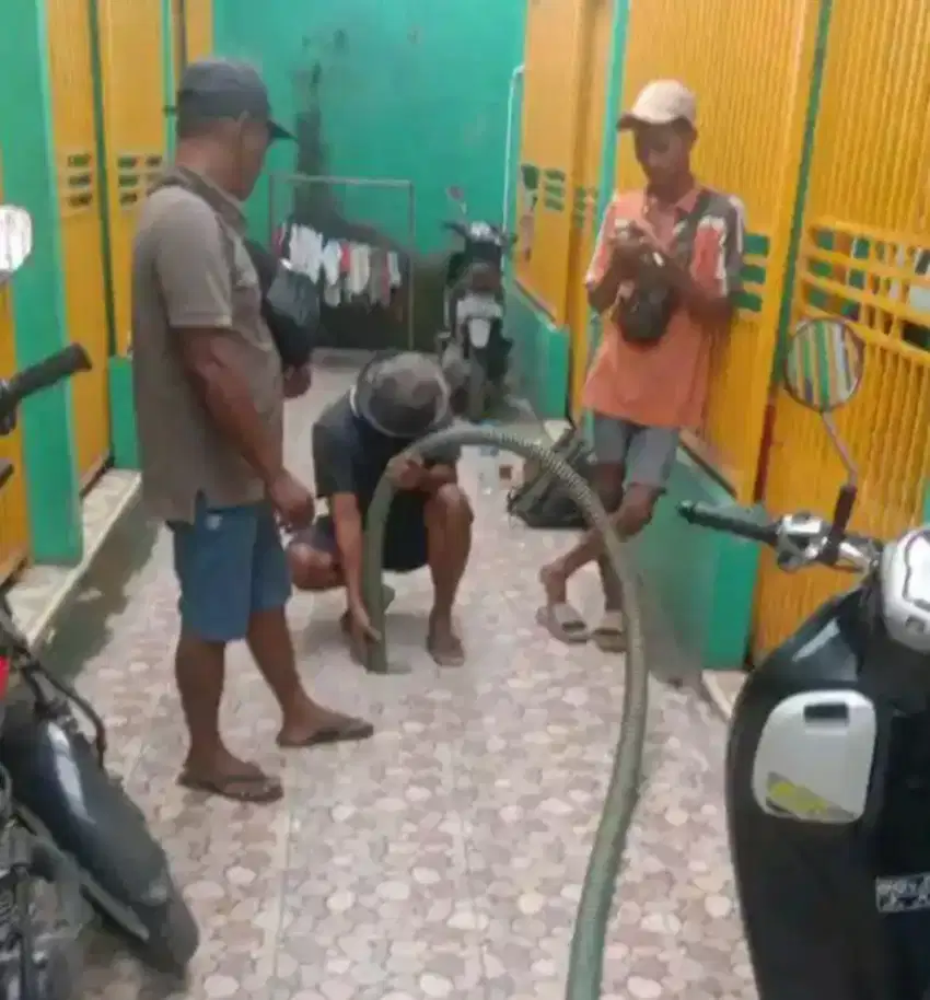 Sedot wc dan saluran mampet