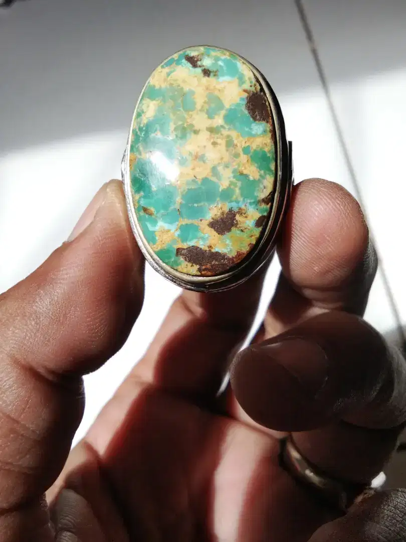 Pirus Persia lawas